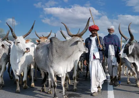 Indian dairy farmers at a cooperative milk collection centre
