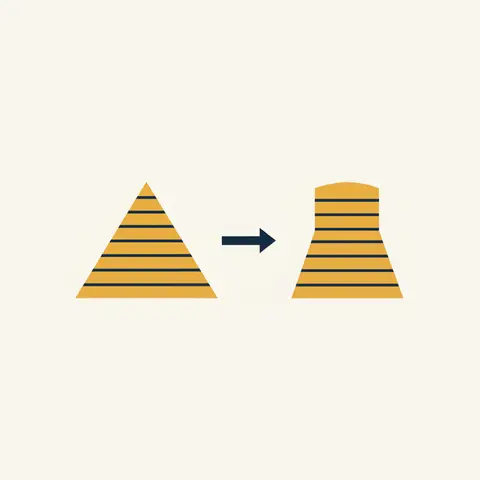 Population pyramid diagram comparing a high birth-rate structure with the narrower base that resulted from China's one-child policy