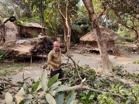 Villagers working together to plant trees and manage a community forest in India