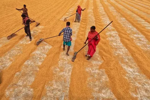 Women working on a rural construction site under the MGNREGA employment scheme in India