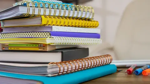 Rows of branded notebooks on display at an Indian stationery shop.