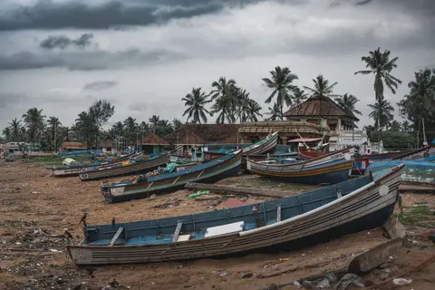 Boats docked at a Kerala fishing harbour representing a survey site where catch data is collected