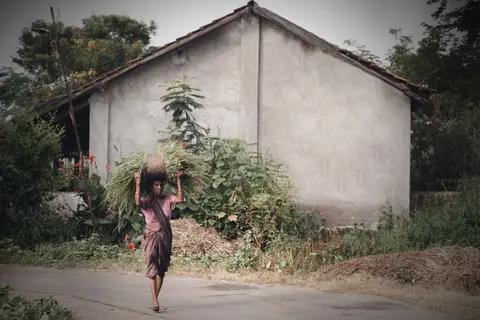 A quiet Indian village with farmland, mud paths, and simple homes — representing the rural landscape that development programmes aim to improve.
