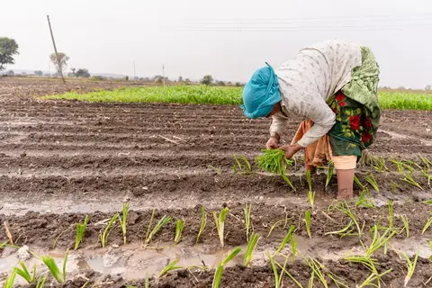 A farmer at a bank counter signing a loan document — representing affordable agricultural credit through NABARD and rural cooperatives.